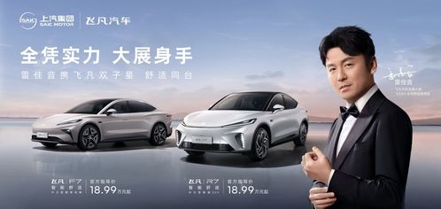 飞凡汽车售价多少